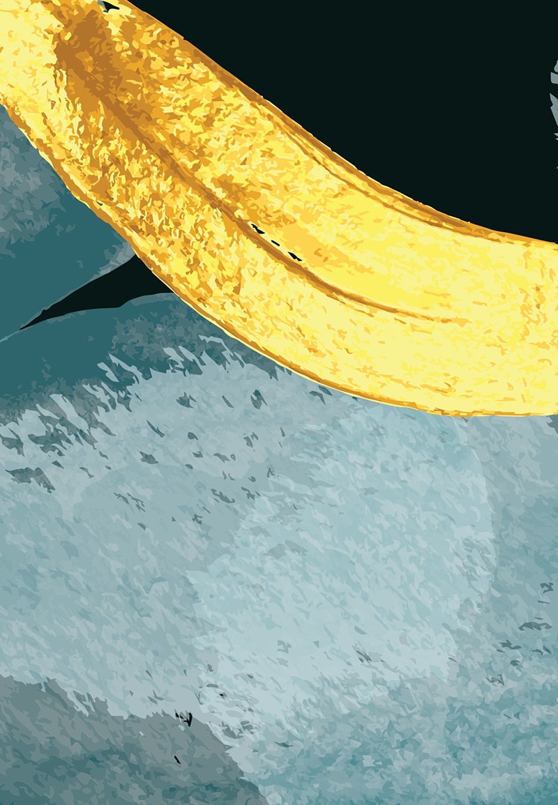 HIÁBAVALÓ-VERS: NYŰ ÉS NYÍ