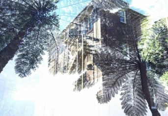 KULTÚRA ÉS TUDATALATTI AZ ÖKOLÓGIAI ELMÉLETBEN