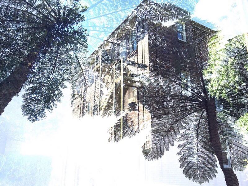 KULTÚRA ÉS TUDATALATTI AZ ÖKOLÓGIAI ELMÉLETBEN