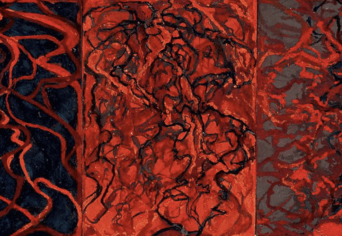 A MAGUNK ÉPÍTETTE MAJOMKETRECTŐL A PSZICHOPOLITIKÁIG