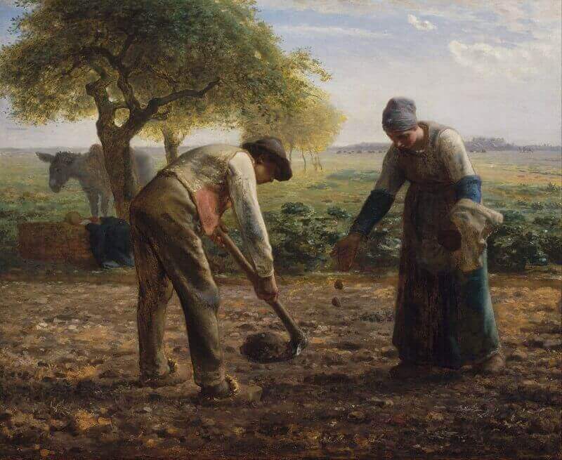 Jean-François Millet: Krumpli ültetők