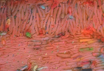 ÉLET, SZABADSÁG, POLITIKA