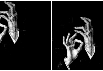 HALANDÓK EGYMÁS KÖZT