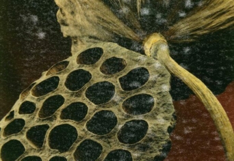 JÖTTMENTEK UTCAI SIRÁMA