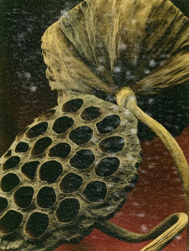 JÖTTMENTEK UTCAI SIRÁMA