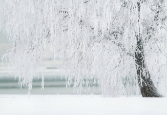 FÁK – KÖRÜLÖTTÜNK