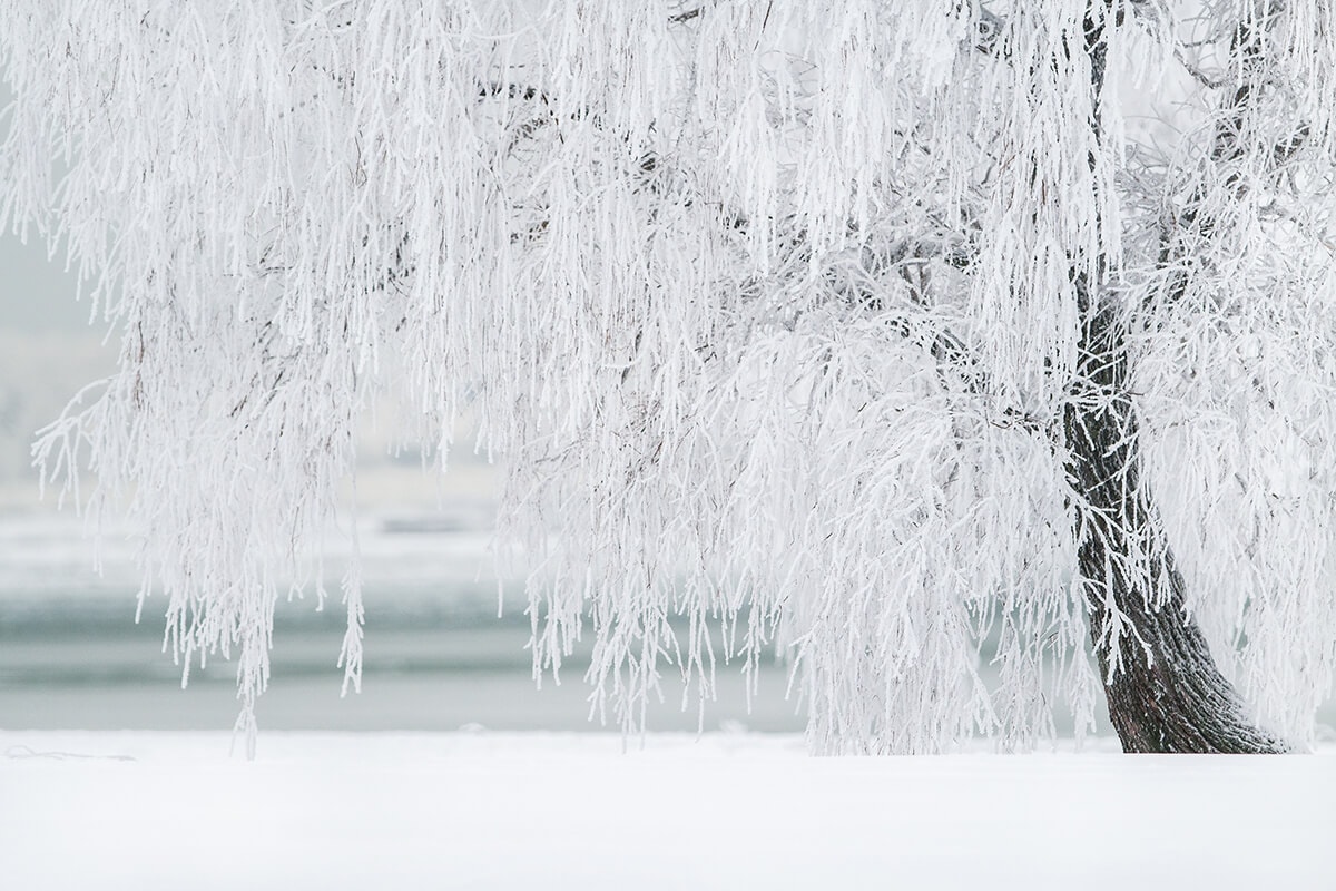 FÁK – KÖRÜLÖTTÜNK