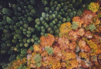 ÁTKELHET-E AZ ÖKOLÓGIA FÉNYES NAPPAL A MÚZEUM KÖRÚTON?
