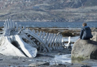 A CETHAL CSONTVÁZÁNÁL