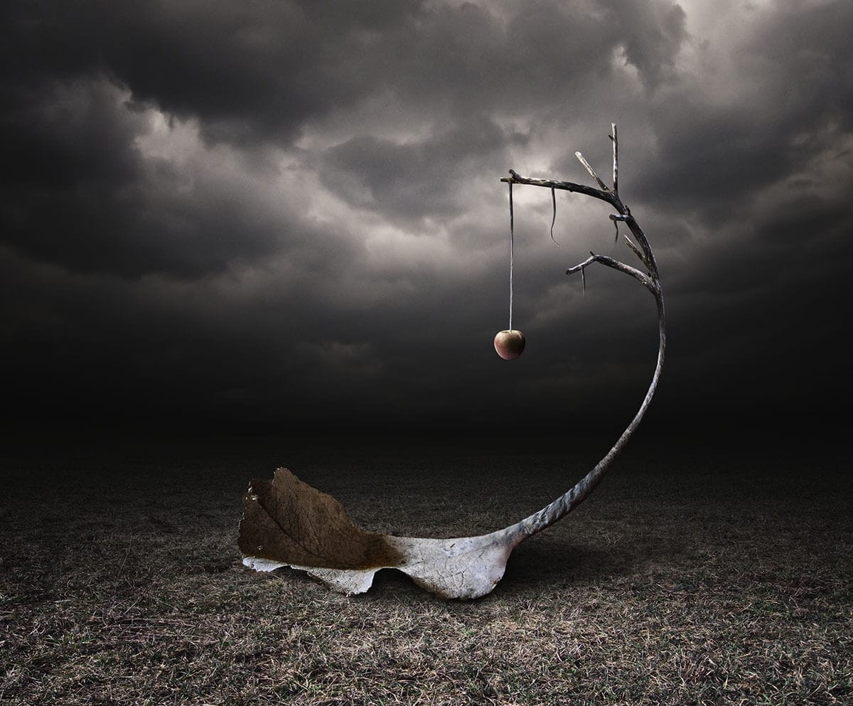 ELMEGYEK A FÖLDBE LAKNI