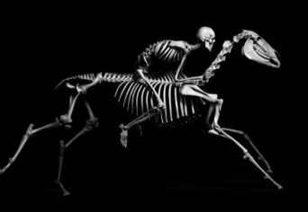 ALACSONYPADLÓS KOCSIBAN