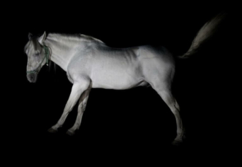 NINCS CSODÁLATOSABB