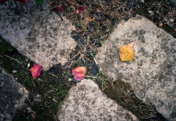 A KERT VÉGÉBEN EGY LÉGHAJÓ