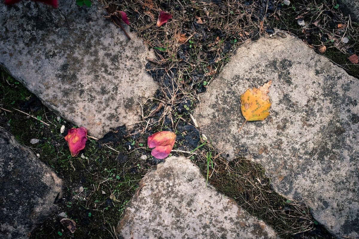 A KERT VÉGÉBEN EGY LÉGHAJÓ