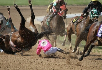 GYERMEKKORI LÓEMLÉK