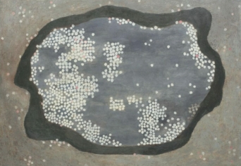 VÉNUS FALRA MÁSZIK