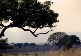 FÜGGETLEN KÖVETKEZMÉNY