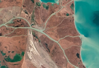 BEVEZETÉS AZ IRODALMI ÖKOLÓGIÁBA