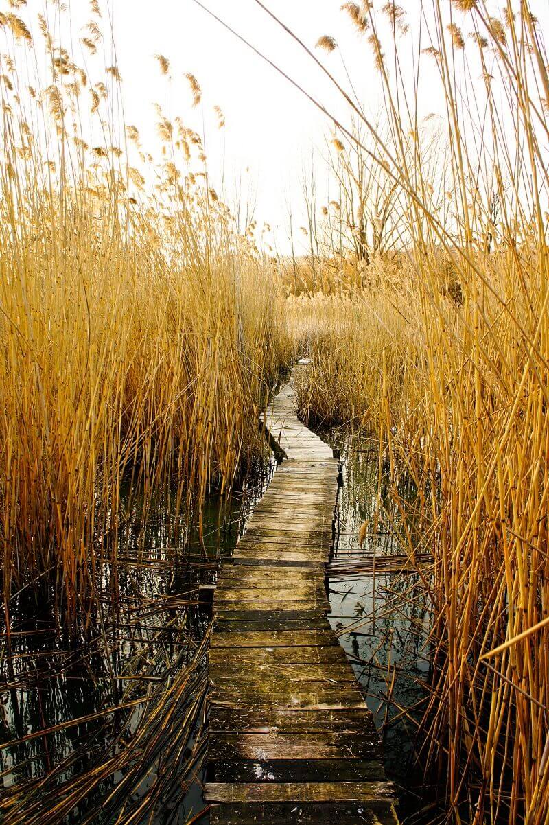 Bernadett Németh, flickr.com 