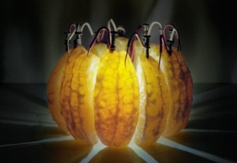 A DEMOKRATIKUS TUDÁSÁTADÁS ÉS AZ ÁLTUDOMÁNYOK