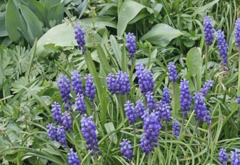 SZAVAKTÓL HOMÁLYLÓ 