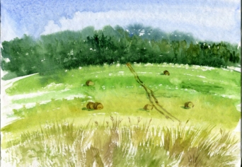 A JÚNIUS VISZONT KÖZEL