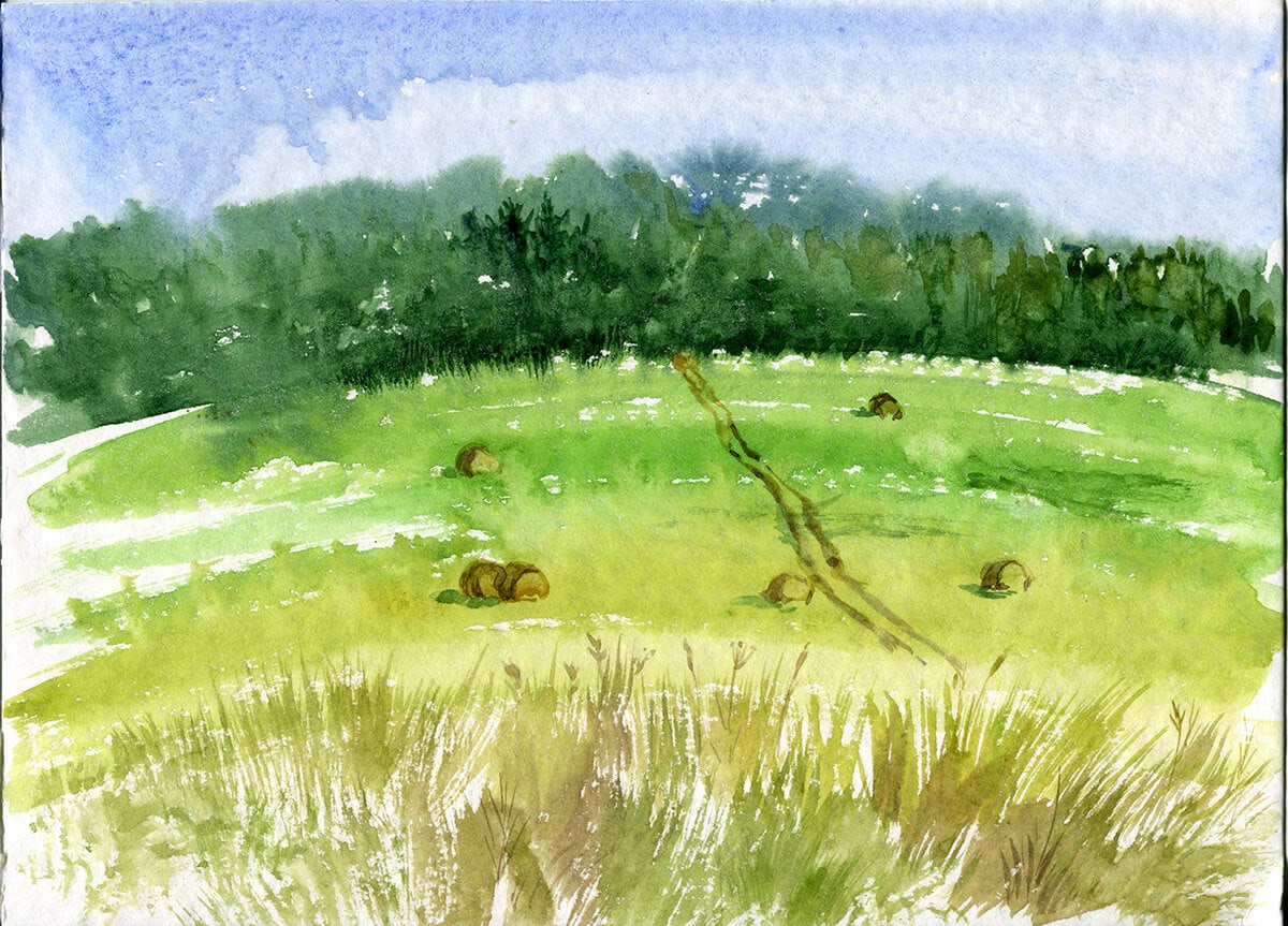 A JÚNIUS VISZONT KÖZEL