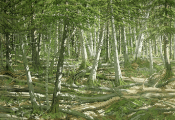 KOMJÁTHY JENŐ PANTEIZMUSA