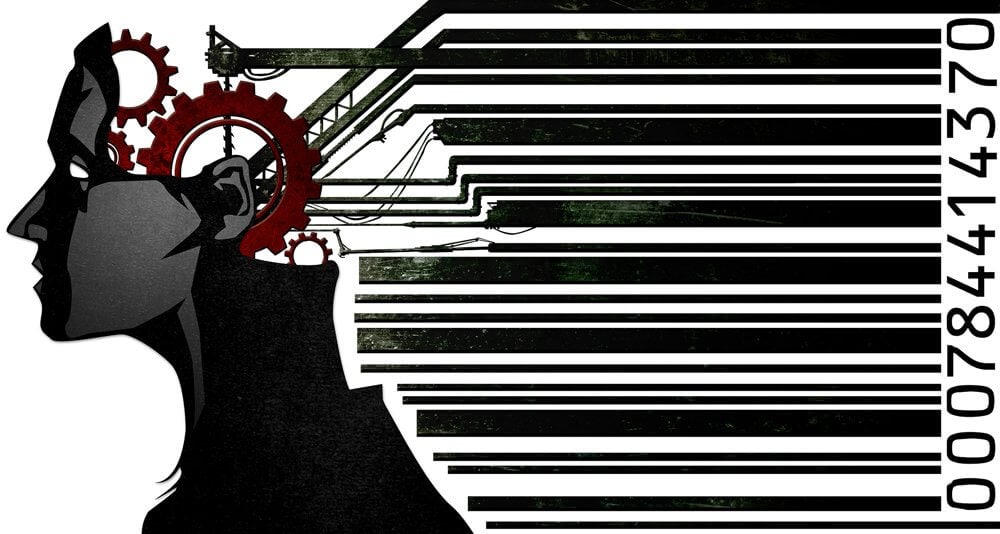 A TŐKE FŐNIXMADARA