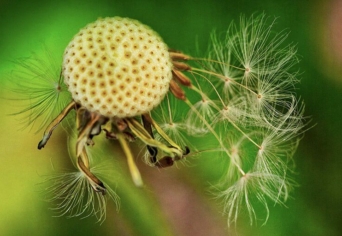 EMELT SZINTŰ GYAKORLATOK