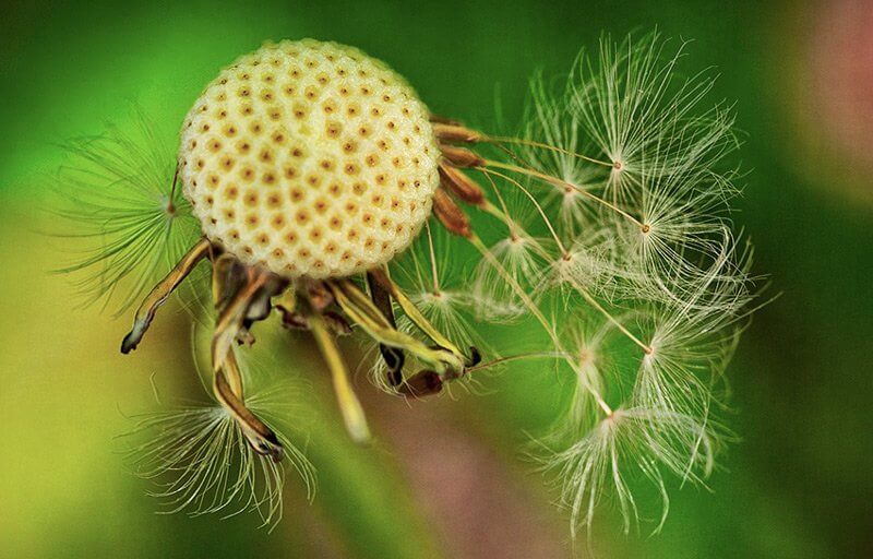 EMELT SZINTŰ GYAKORLATOK