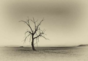 A HALOGATÁS GÉPEZETE