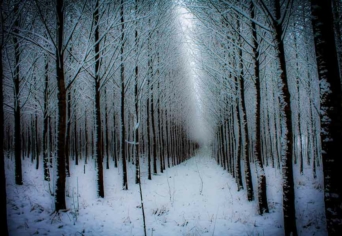 DECEMBER, DÉLELŐTT, SZÉLCSEND