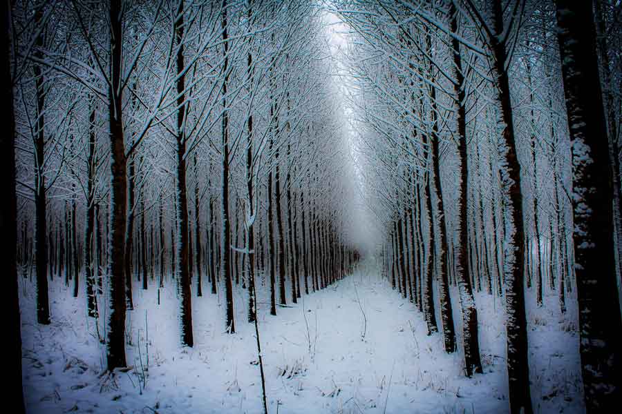 DECEMBER, DÉLELŐTT, SZÉLCSEND