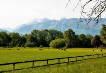 ŐSZI KÉPESLAPOK LIECHTENSTEINBŐL