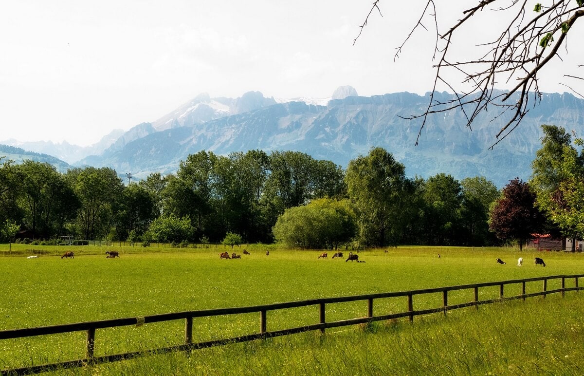 ŐSZI KÉPESLAPOK LIECHTENSTEINBŐL