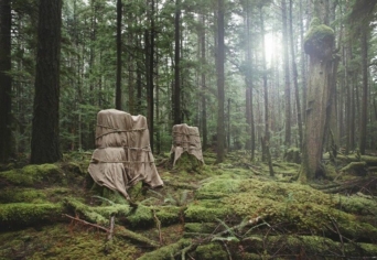 AZ ÖKOLÓGIAI TAPASZTALAT VÁLTOZATAI