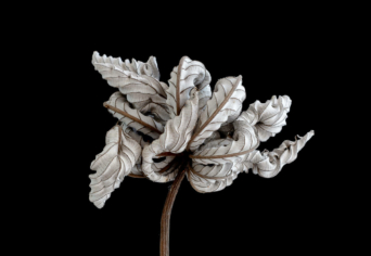 NEM TUDOM HOGY TÖRTÉNT