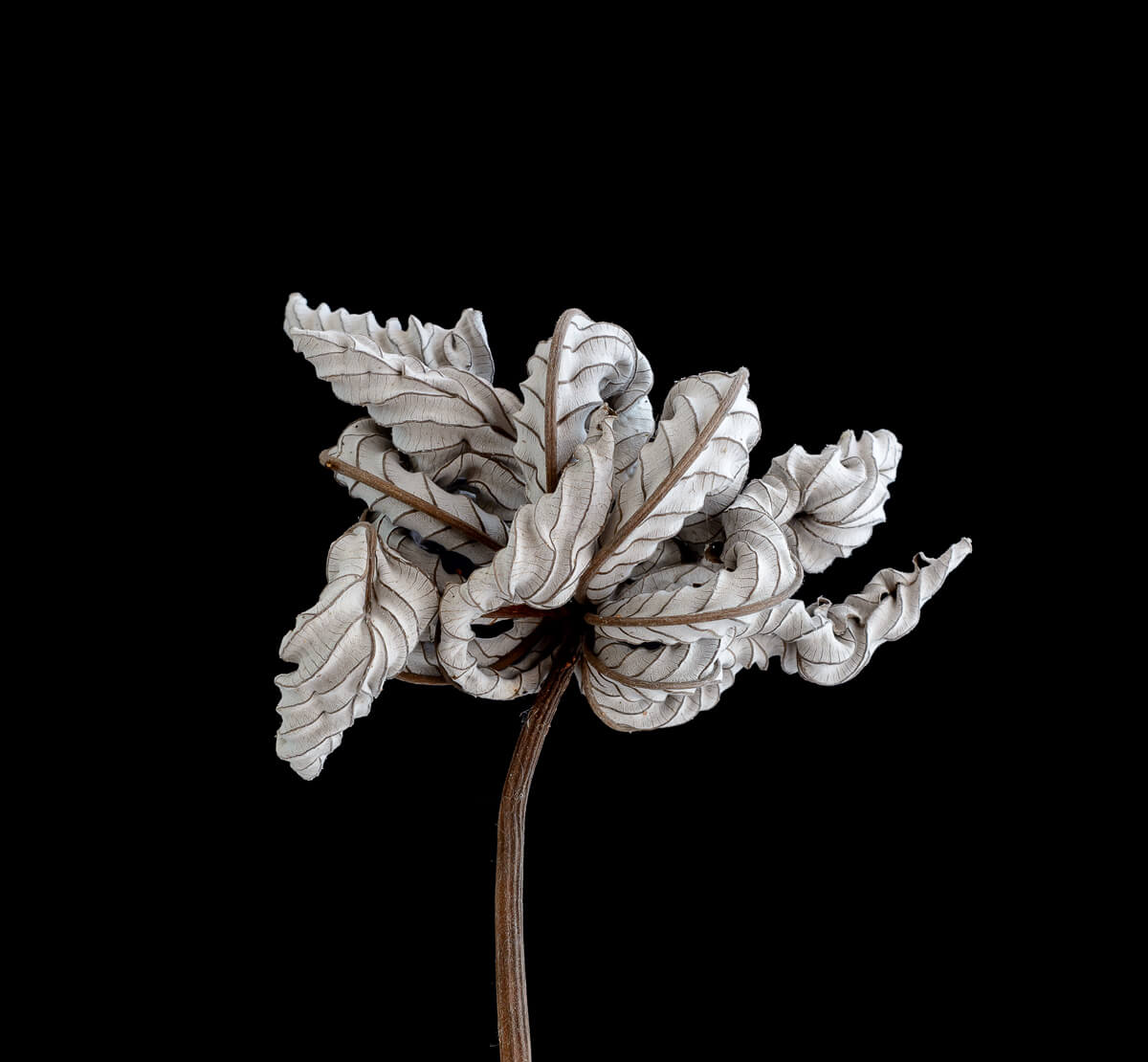 NEM TUDOM HOGY TÖRTÉNT