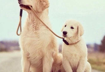 ÚJRAGONDOLT OKTATÁS