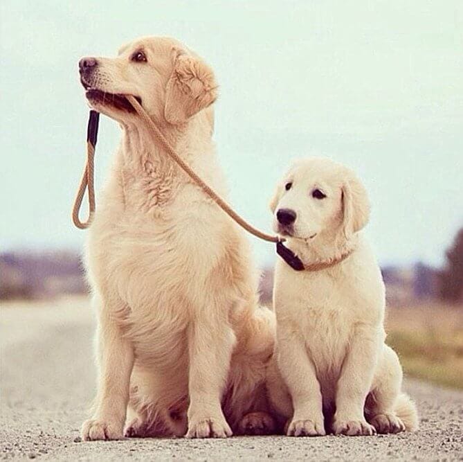 ÚJRAGONDOLT OKTATÁS