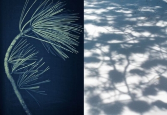 KÖRNYEZETVÉDELEM — EMBERVÉDELEM