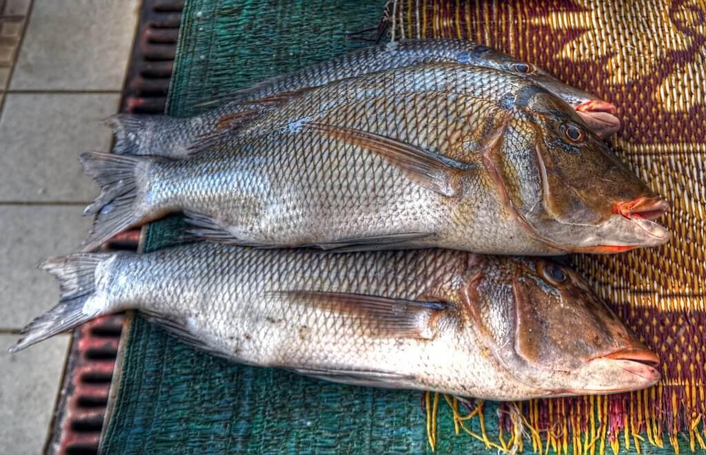 VOLT ÖTÖS A LOTTÓN?