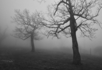 VALAMI TÖRTÉNNI FOG