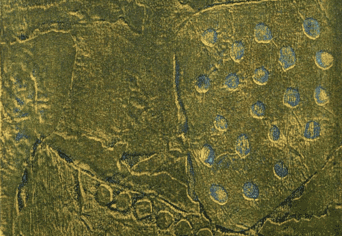 A MÚLT VÉGE VAGY A JÖVŐ ELEJE