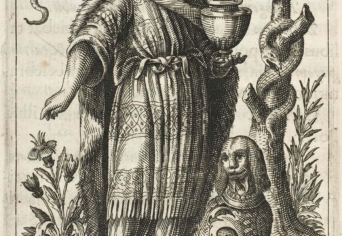 PRÓTEUSZ AZ ALFÖLDÖN