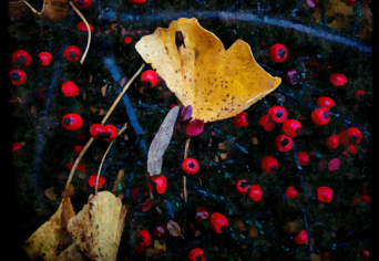 ELTÁVOZOTT BARÁTOM