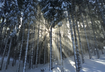 KÍSÉRLET ELSZAKADÁSRA