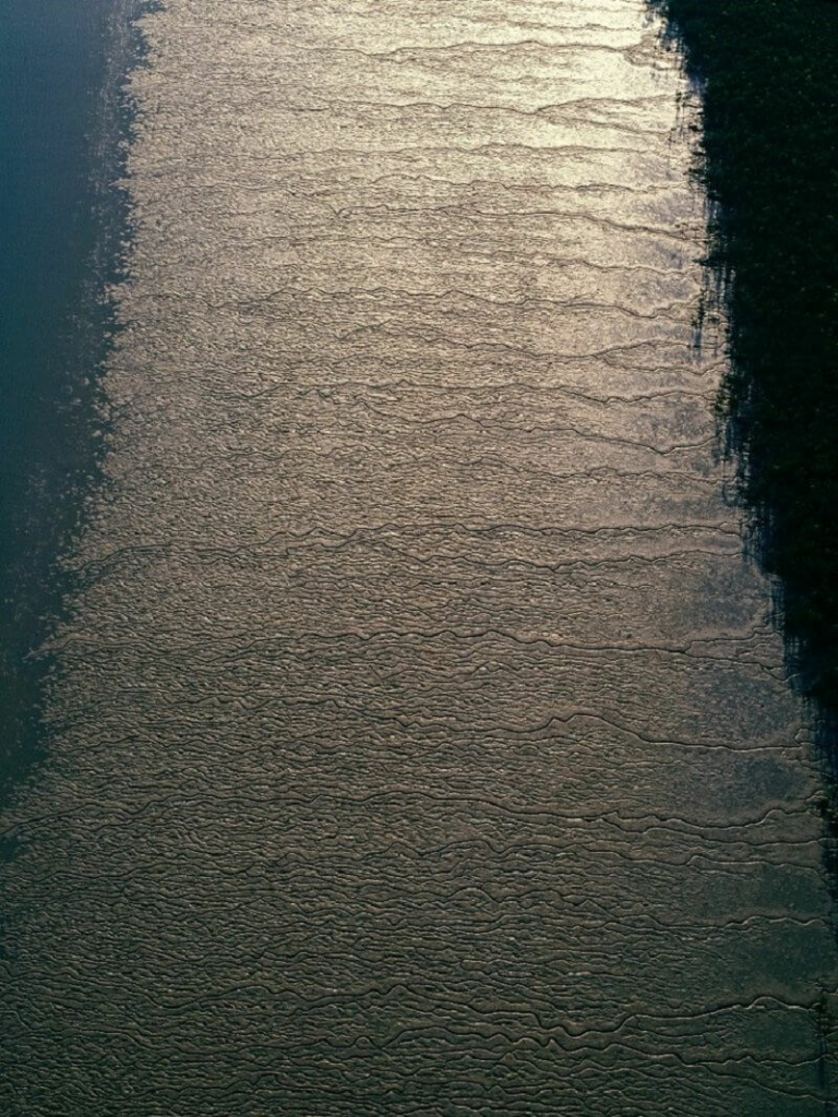 richard woldendorp (8)