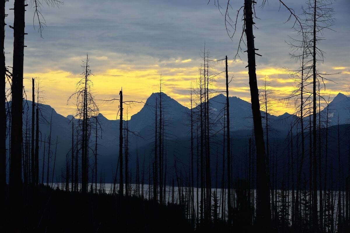 EGY SZÓ A TERMÉSZETÉRT